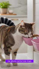 Comedouro Bebedouro Duplo Elevado Gato Cachorro Suporte Ergonômico Potes Plástico Removível 300ml