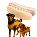 Roupinha para Cães Fantasia Salsicha Roupa Tematica Personalizadas