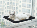 Cat Window Hammock